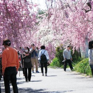 東谷山フルーツパーク