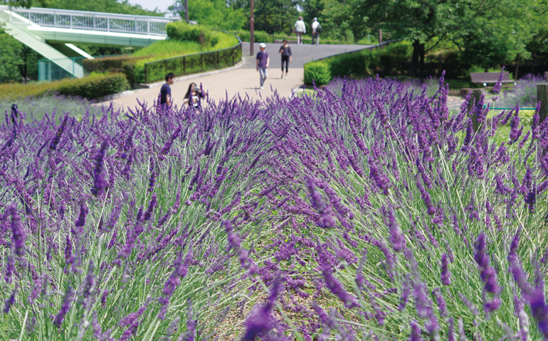 荒子川公園