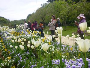 ガーデンや緑地の見学会