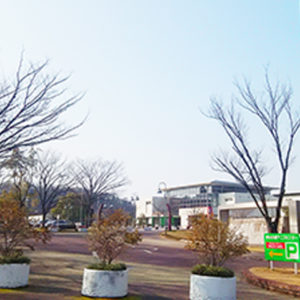 東山公園テニスセンター