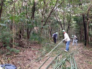 大高緑地の竹林整備