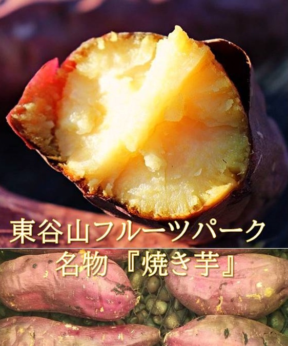 焼き芋 焼き芋