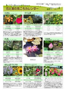 migoro_20250703のサムネイル