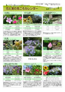 migoro_20250710のサムネイル