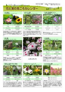migoro_20250814のサムネイル