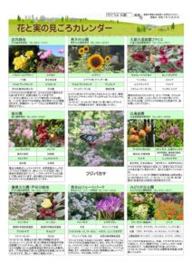 migoro_20251024のサムネイル