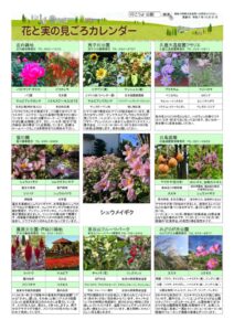 migoro_20251031のサムネイル