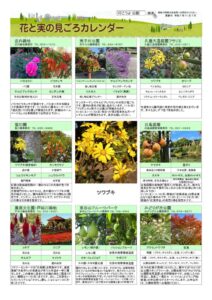 migoro_20251107のサムネイル