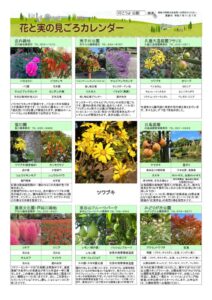 migoro_20251107改のサムネイル