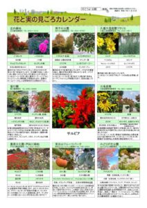 migoro_20251114のサムネイル