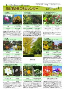 migoro_20251120のサムネイル