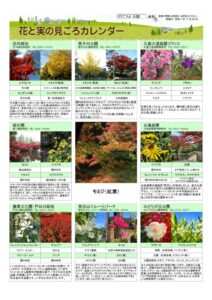 migoro_20251128のサムネイル