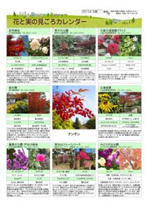 migoro_20251204のサムネイル