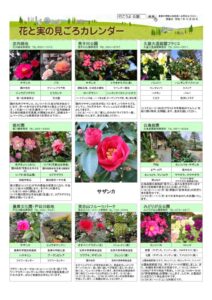 migoro_20251226のサムネイル