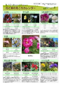 migoro_20260108のサムネイル