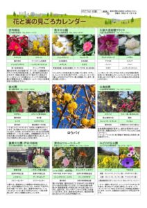 migoro_20260115のサムネイル