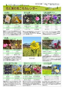 migoro_20260130のサムネイル