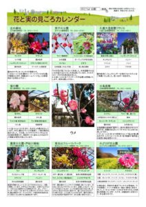 migoro_20260206のサムネイル