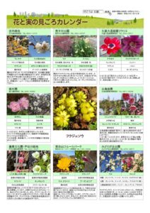 migoro_20260213のサムネイル