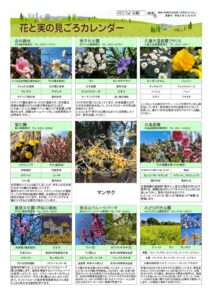 migoro_20260220のサムネイル