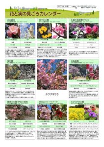 migoro_20260226のサムネイル