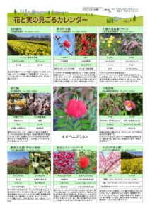 migoro_20260305改のサムネイル