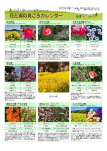 migoro_20260312のサムネイル