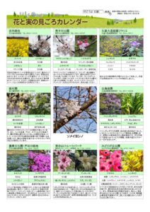 migoro_20260326のサムネイル