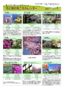 migoro_20260402のサムネイル