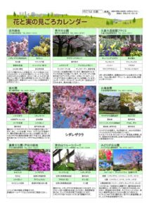 migoro_20260402改のサムネイル