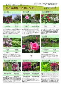 migoro_20260430のサムネイル