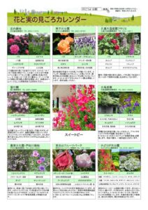 migoro_20260508のサムネイル