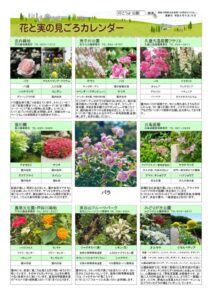 migoro_20260515のサムネイル