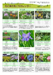 migoro_20260528のサムネイル