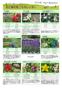 migoro_20260605のサムネイル