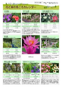 migoro_20260617のサムネイル