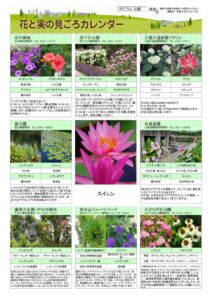 migoro_20260617のサムネイル