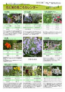 migoro_20260625のサムネイル