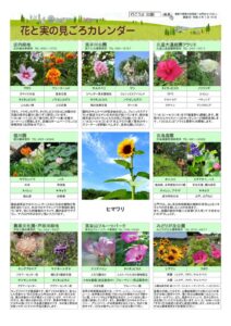 migoro_20260716のサムネイル