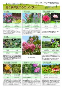 migoro_20260724のサムネイル