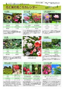 migoro_20260806のサムネイル