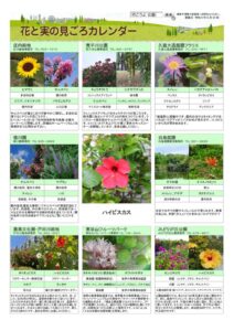 migoro_20260820のサムネイル