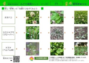 発見シート（野草）_問題のサムネイル