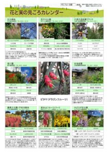 migoro_20261002のサムネイル