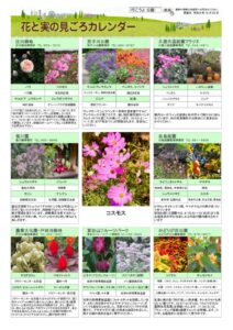 migoro_20261023のサムネイル