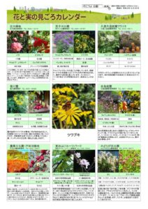 migoro_20261029のサムネイル