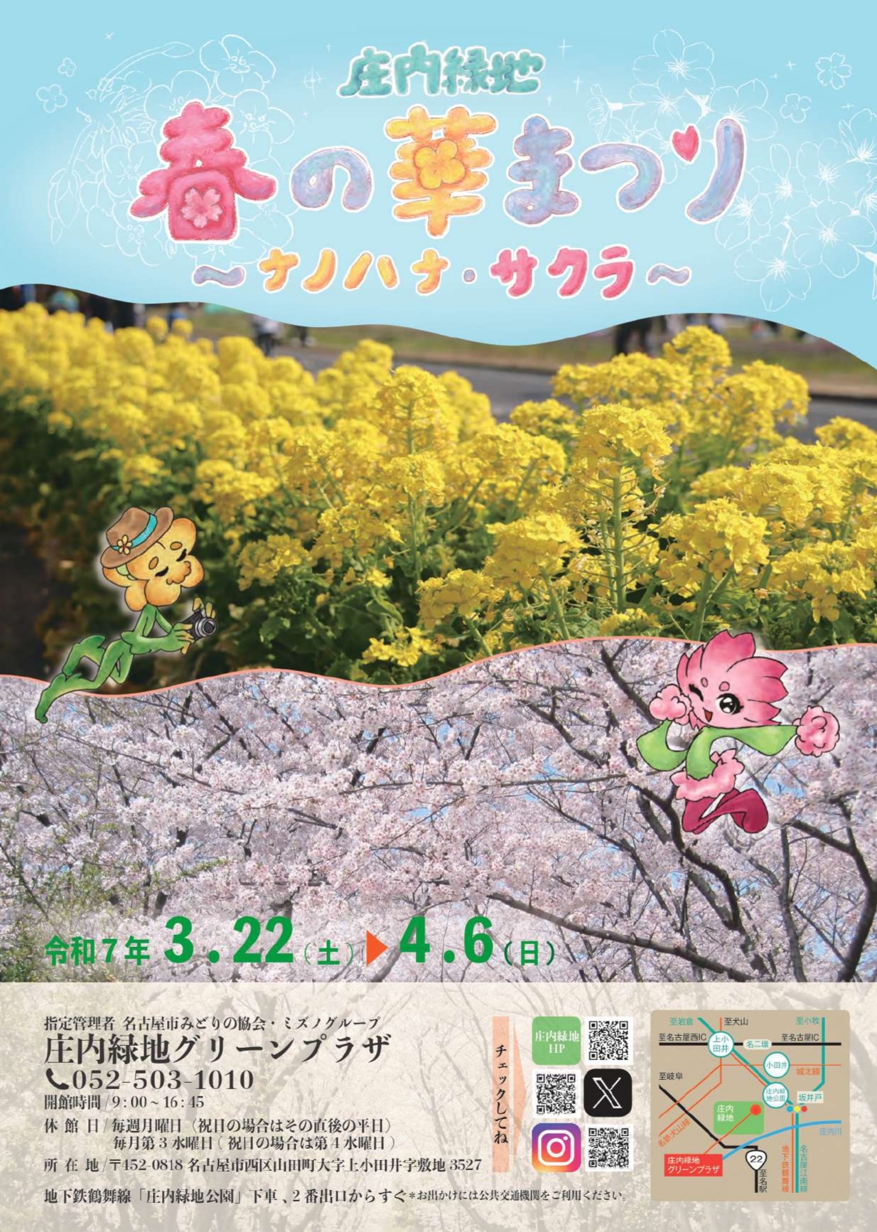 3/22～4/6　庄内緑地　春の華まつり～ナノハナ・サクラ～①