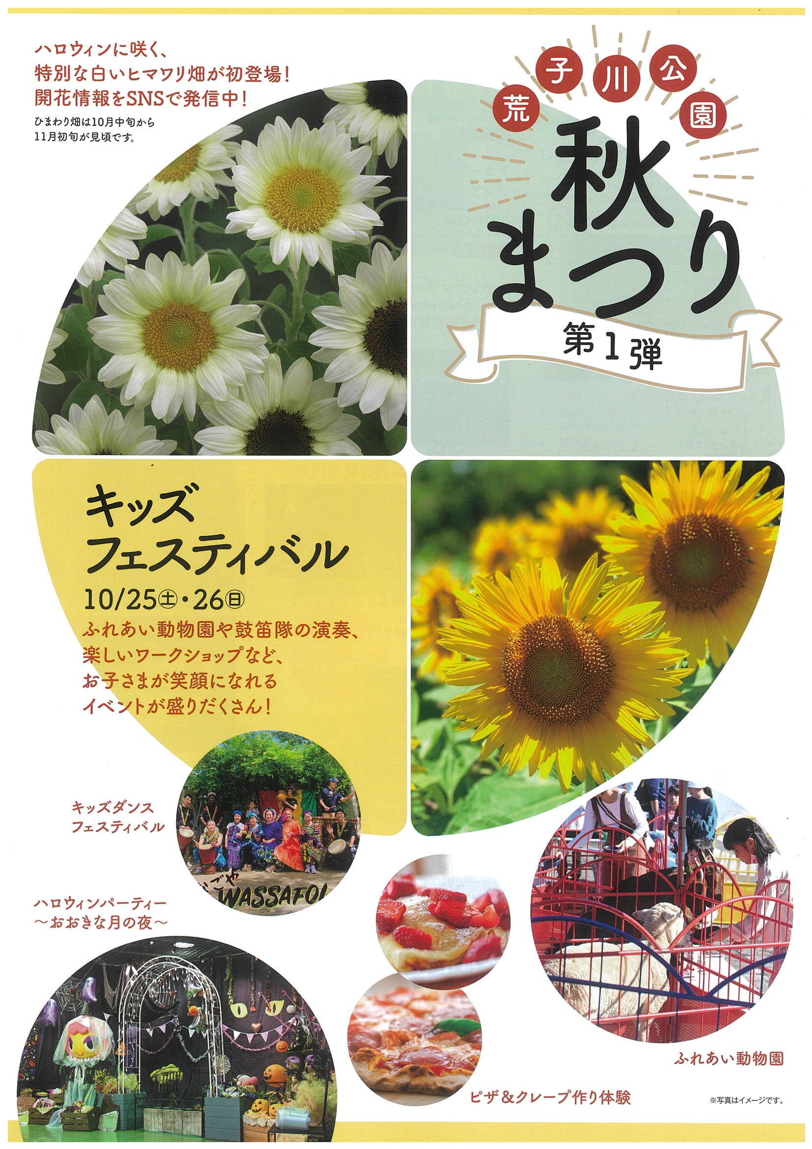 10/25・10/26　荒子川公園　秋まつり 第1弾①