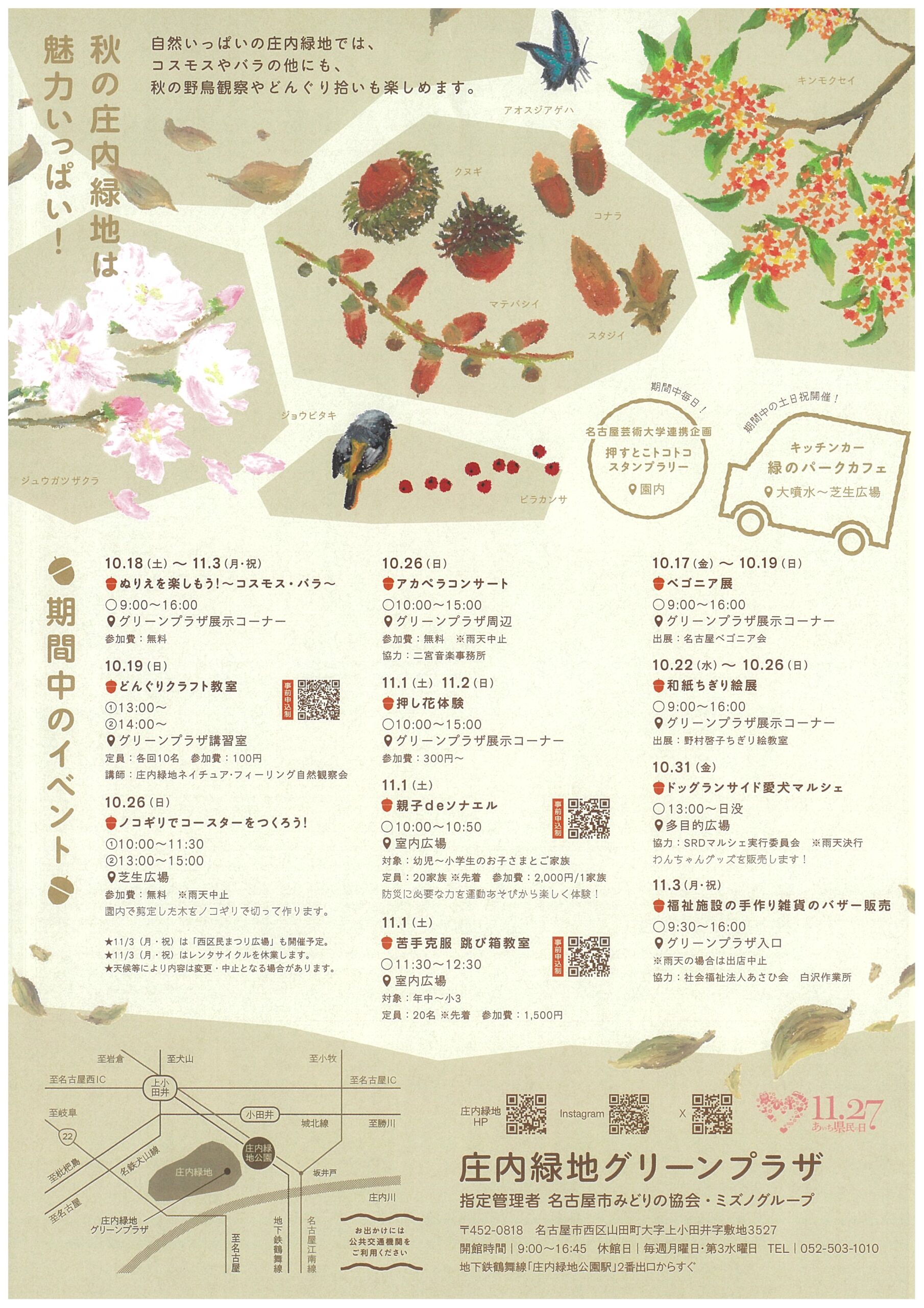 10/18～11/3　庄内緑地　秋の華まつり　～コスモス・バラ～②