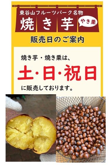 251015焼き芋、焼き栗 251015焼き芋、焼き栗